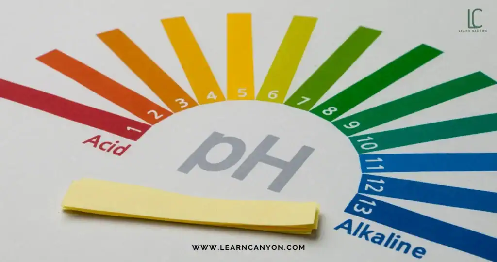 Mistake #2 Adjusting pH Too Soon (or Too Late)