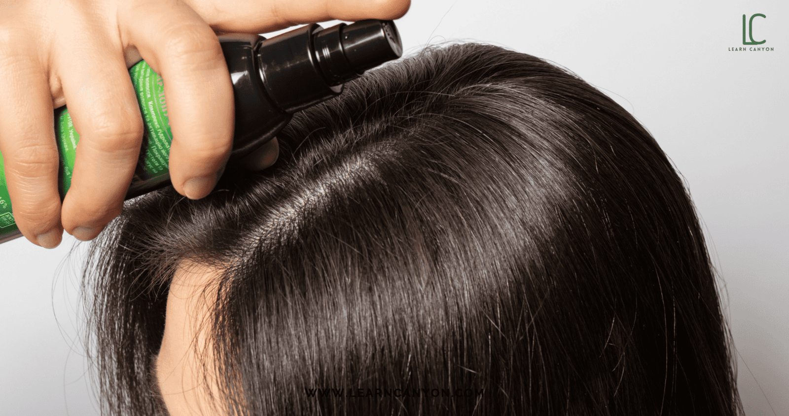 Top Ayurvedic Herbs for Haircare and How to Use Them Effectively 2 Ayurvedic herbs for hair