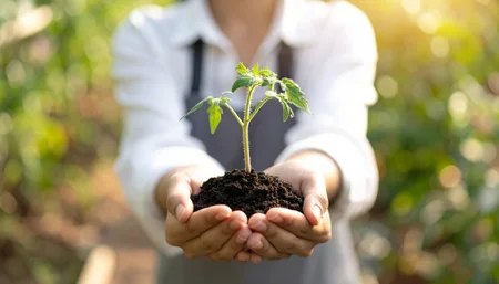 Person holding small plant in hands.