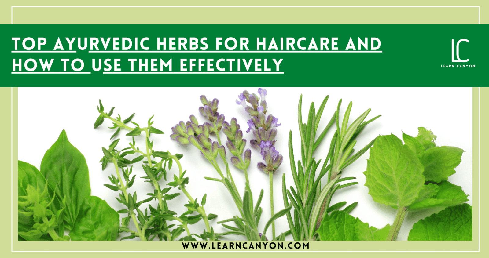 Ayurvedic herbs for hair