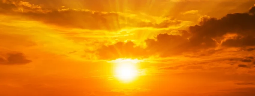 Understanding Pitta Dosha in Ayurveda