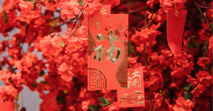 I’m a “Chinese Baddie” by Birth—These Are the TCM Beauty Rituals I Swear By