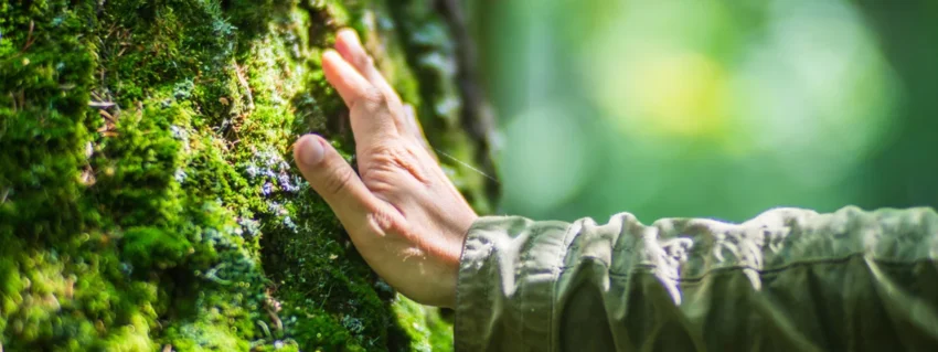 Understanding Prakruti and Vikruti in Ayurveda