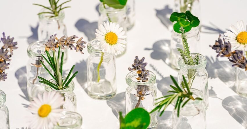 The Natural Beauty Rebrand | Marie Claire UK